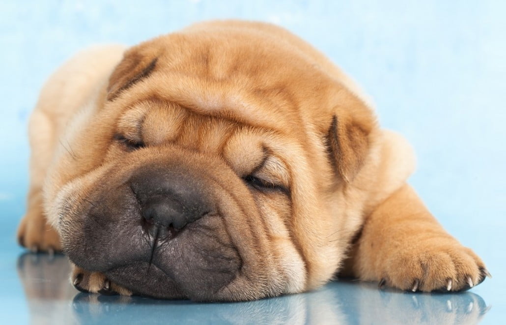 Wrinkle Treatments From Bournemouth Skin Clinic with Austin Brewer