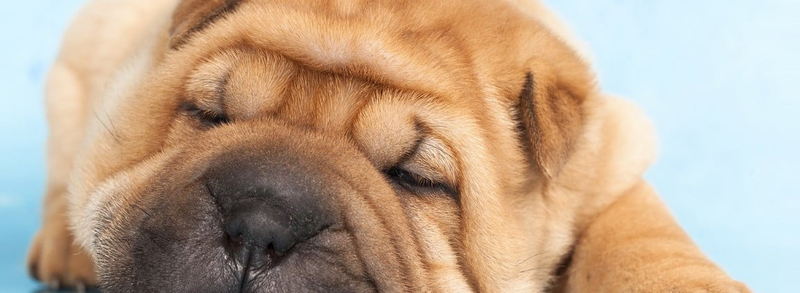 Wrinkle Treatments From Bournemouth Skin Clinic with Austin Brewer